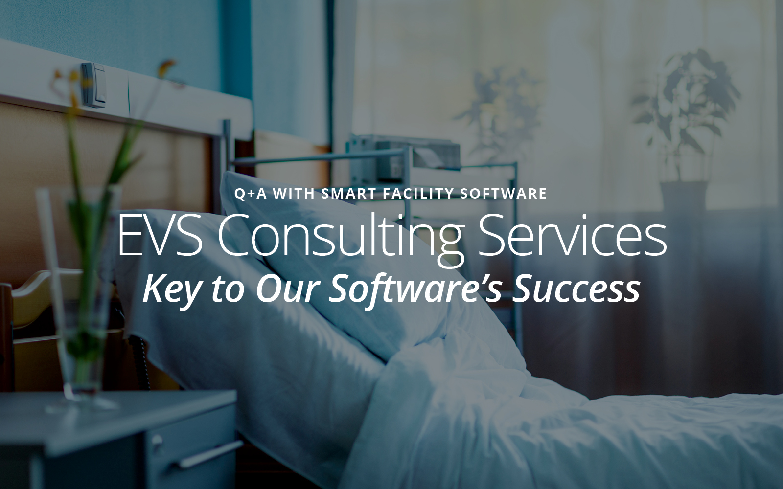 EVS Consulting Services: Key To Our Software's Success